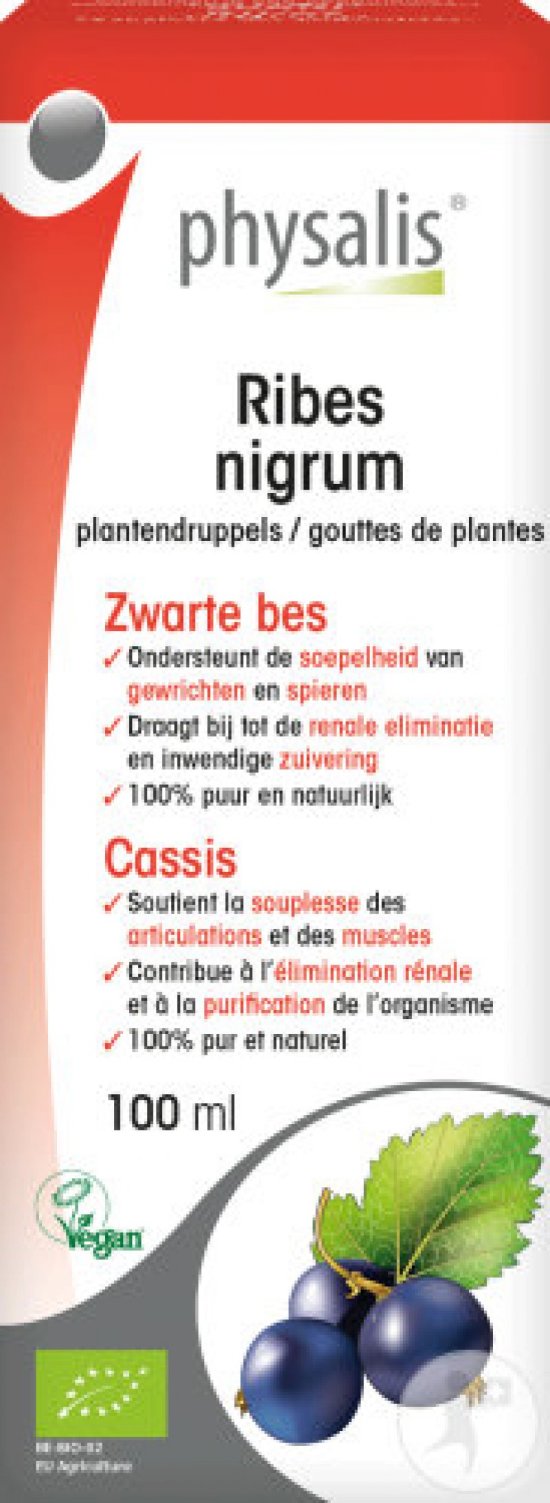 Ribes Nigrum (Zwarte bes) 100ml