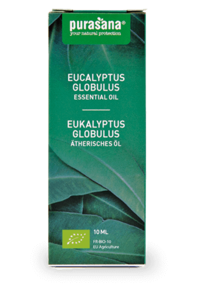Eucalyptus Globulus 10 ml