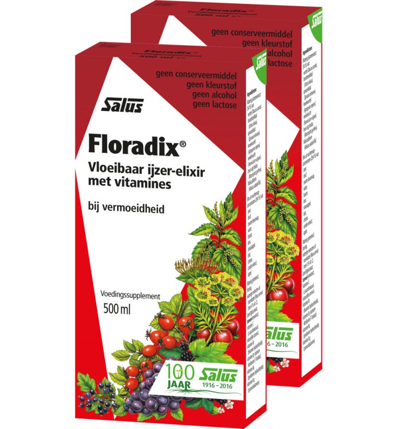DUOPACK Floradix IJzer-Elixir 500 ml PROMO