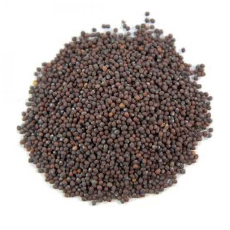 Keukenkruiden: Mosterdzaad - Zaden - Zwart - 50 g