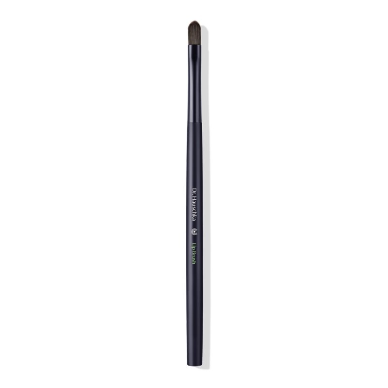 Lip Brush