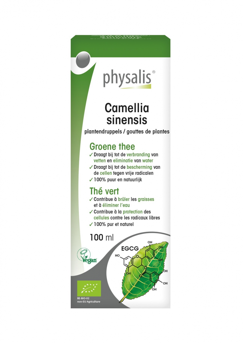 Camellia Sinsensis (groene thee) 100ml